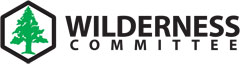 2010_wc_logo_color